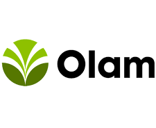 Olam